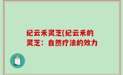 纪云禾灵芝(纪云禾的灵芝：自然疗法的效力