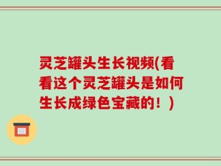 灵芝罐头生长视频(看看这个灵芝罐头是如何生长成绿色宝藏的！)