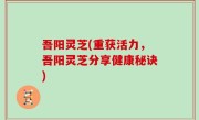 吾阳灵芝(重获活力，吾阳灵芝分享健康秘诀)