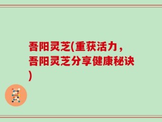 吾阳灵芝(重获活力，吾阳灵芝分享健康秘诀)