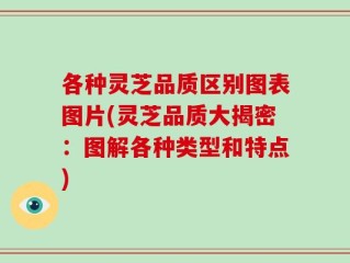 各种灵芝品质区别图表图片(灵芝品质大揭密：图解各种类型和特点)