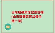 山东冠县灵芝盆景价格(山东冠县灵芝盆景价格一览)