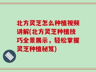 北方灵芝怎么种植视频讲解(北方灵芝种植技巧全景展示，轻松掌握灵芝种植秘笈)