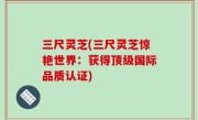 三尺灵芝(三尺灵芝惊艳世界：获得顶级国际品质认证)