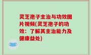 灵芝孢子主治与功效图片视频(灵芝孢子的功效：了解其主治能力及健康益处)