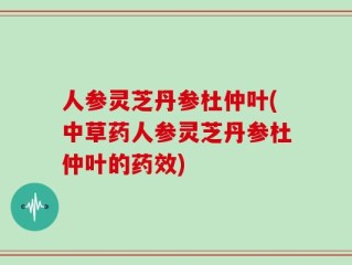 人参灵芝丹参杜仲叶(中草药人参灵芝丹参杜仲叶的药效)