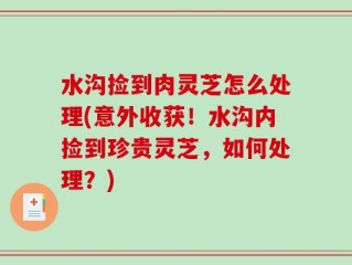 水沟捡到肉灵芝怎么处理(意外收获！水沟内捡到珍贵灵芝，如何处理？)