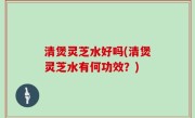 清煲灵芝水好吗(清煲灵芝水有何功效？)