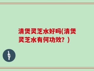 清煲灵芝水好吗(清煲灵芝水有何功效？)