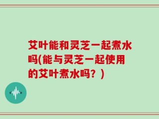 艾叶能和灵芝一起煮水吗(能与灵芝一起使用的艾叶煮水吗？)