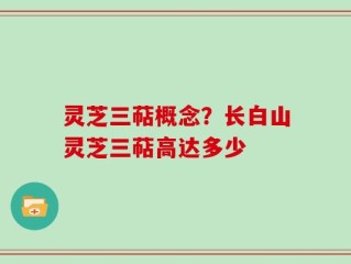 灵芝三萜概念？长白山灵芝三萜高达多少