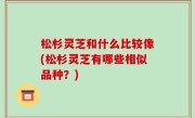 松杉灵芝和什么比较像(松杉灵芝有哪些相似品种？)