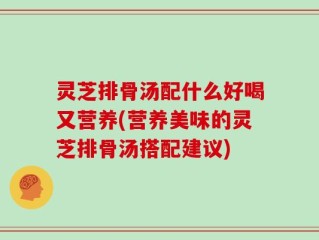 灵芝排骨汤配什么好喝又营养(营养美味的灵芝排骨汤搭配建议)