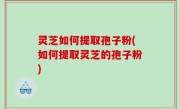 灵芝如何提取孢子粉(如何提取灵芝的孢子粉)
