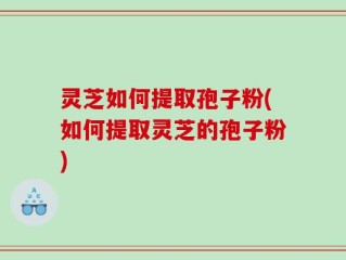 灵芝如何提取孢子粉(如何提取灵芝的孢子粉)