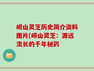 崂山灵芝历史简介资料图片(崂山灵芝：源远流长的千年秘药