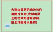 大别山灵芝的功效与作用图片大全(大别山灵芝的功效与作用详解，附全球图片大集锦)