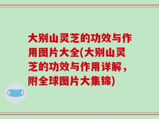 大别山灵芝的功效与作用图片大全(大别山灵芝的功效与作用详解，附全球图片大集锦)