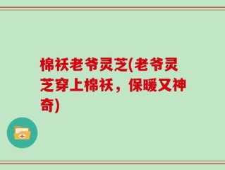棉袄老爷灵芝(老爷灵芝穿上棉袄，保暖又神奇)