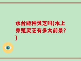 水台能种灵芝吗(水上养殖灵芝有多大前景？)
