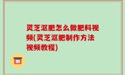 灵芝沤肥怎么做肥料视频(灵芝沤肥制作方法视频教程)