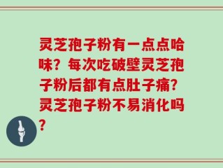 灵芝孢子粉有一点点哈味？每次吃破壁灵芝孢子粉后都有点肚子痛？灵芝孢子粉不易消化吗？