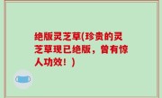 绝版灵芝草(珍贵的灵芝草现已绝版，曾有惊人功效！)
