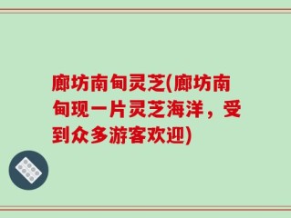 廊坊南甸灵芝(廊坊南甸现一片灵芝海洋，受到众多游客欢迎)