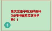 黑灵芝孢子粉怎样做种(如何种植黑灵芝孢子粉？)
