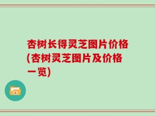 杏树长得灵芝图片价格(杏树灵芝图片及价格一览)