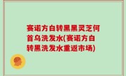 赛诺方白转黑黑灵芝何首乌洗发水(赛诺方白转黑洗发水重返市场)