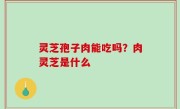 灵芝孢子肉能吃吗？肉灵芝是什么