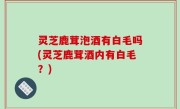 灵芝鹿茸泡酒有白毛吗(灵芝鹿茸酒内有白毛？)