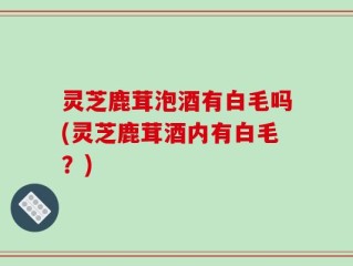 灵芝鹿茸泡酒有白毛吗(灵芝鹿茸酒内有白毛？)