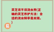 灵芝该不该浇水养(正确的灵芝养护方法：合适的浇水频率是关键。)