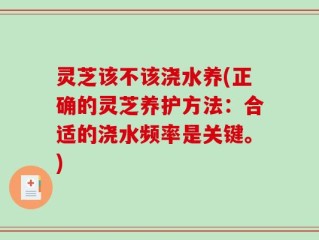 灵芝该不该浇水养(正确的灵芝养护方法：合适的浇水频率是关键。)