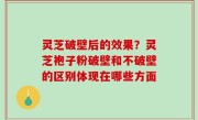 灵芝破壁后的效果？灵芝袍子粉破壁和不破壁的区别体现在哪些方面