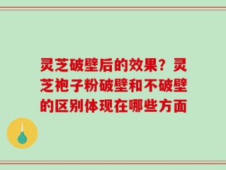 灵芝破壁后的效果？灵芝袍子粉破壁和不破壁的区别体现在哪些方面