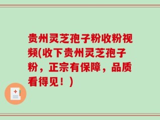 贵州灵芝孢子粉收粉视频(收下贵州灵芝孢子粉，正宗有保障，品质看得见！)