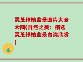 灵芝绿植盆景图片大全大图(自然之美：精选灵芝绿植盆景高清欣赏)