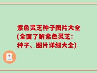 紫色灵芝种子图片大全(全面了解紫色灵芝：种子、图片详细大全)