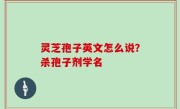 灵芝孢子英文怎么说？杀孢子剂学名
