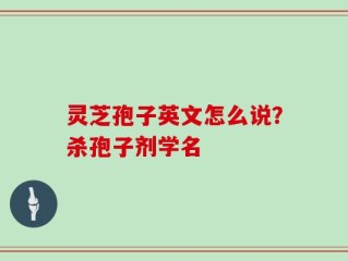 灵芝孢子英文怎么说？杀孢子剂学名