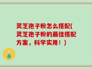 灵芝孢子粉怎么搭配(灵芝孢子粉的最佳搭配方案，科学实用！)