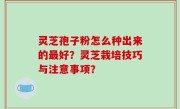 灵芝孢子粉怎么种出来的最好？灵芝栽培技巧与注意事项？