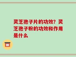 灵芝孢子片的功效？灵芝孢子粉的功效和作用是什么
