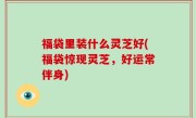 福袋里装什么灵芝好(福袋惊现灵芝，好运常伴身)