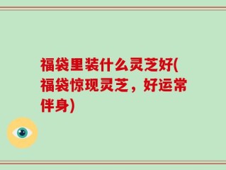 福袋里装什么灵芝好(福袋惊现灵芝，好运常伴身)