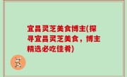 宜昌灵芝美食博主(探寻宜昌灵芝美食，博主精选必吃佳肴)