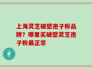 上海灵芝破壁孢子粉品牌？哪里买破壁灵芝孢子粉最正宗